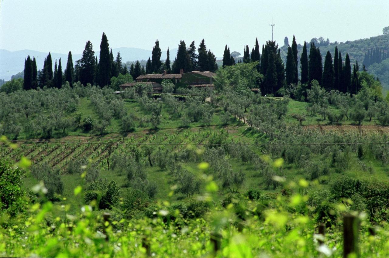 Maison d'hôtes Fattoria Casa Sola à Barberino di Val dʼElsa Extérieur photo