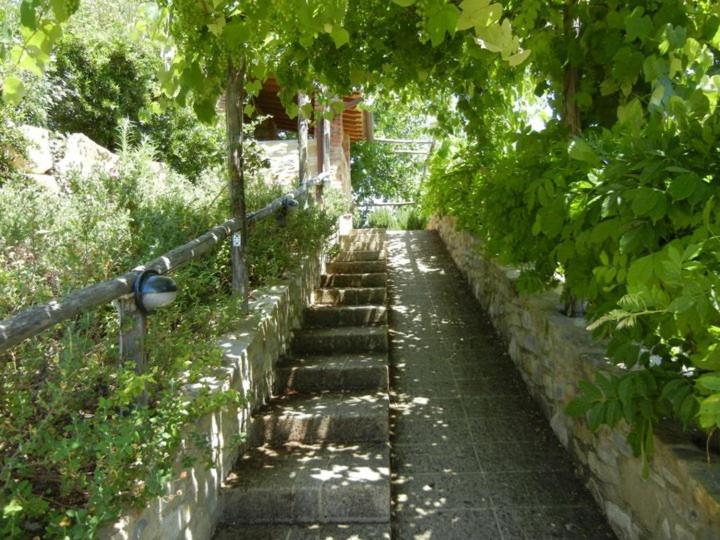 Maison d'hôtes Fattoria Casa Sola à Barberino di Val dʼElsa Extérieur photo