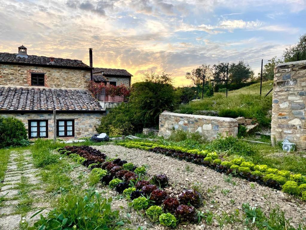 Maison d'hôtes Fattoria Casa Sola à Barberino di Val dʼElsa Extérieur photo