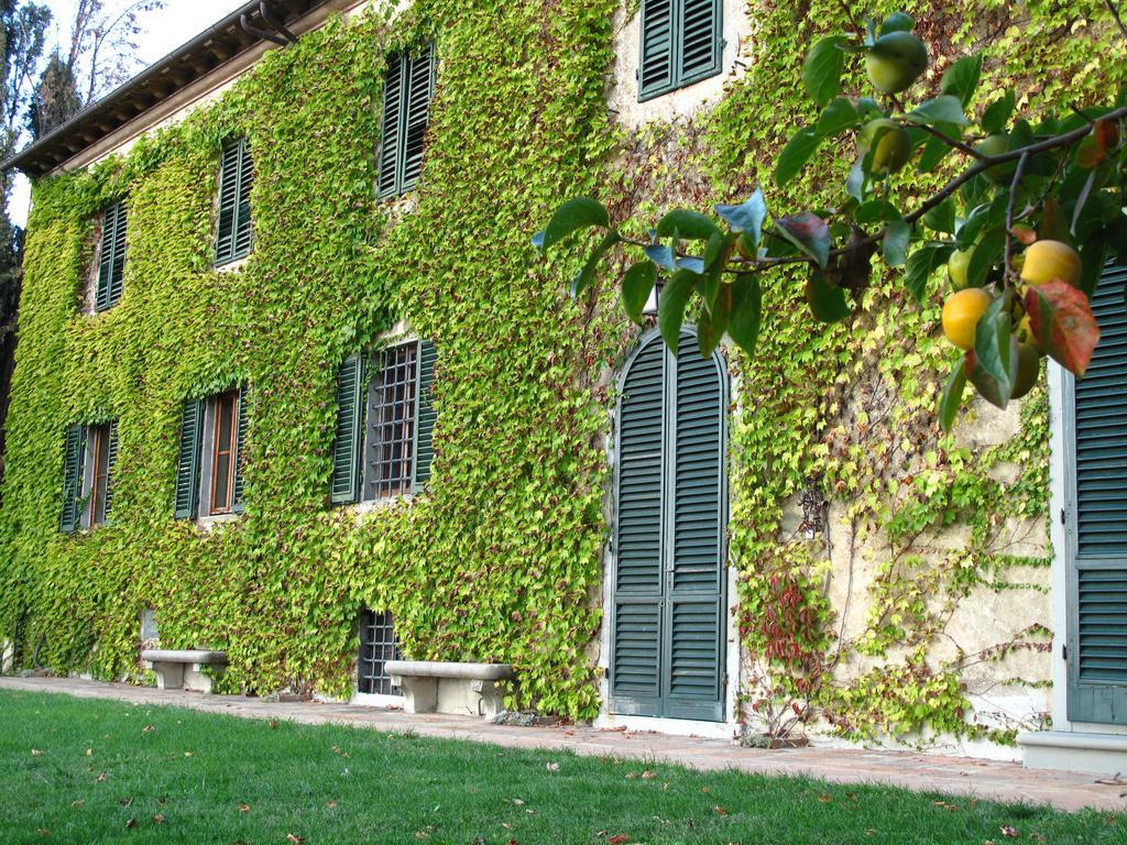 Maison d'hôtes Fattoria Casa Sola à Barberino di Val dʼElsa Extérieur photo